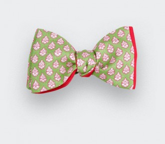 Green Provence Bow Tie - Cinabre Paris