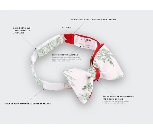 CINABRE Paris - Kid Bowtie - Green Toile de Jouy - handmade