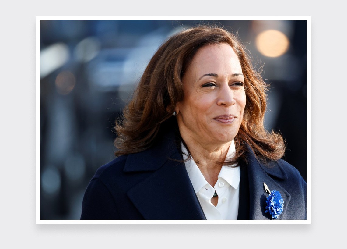 Bleuet Cinabre solidaire avec Kamala Harris - Lin - Fait-main - Bleuet de France