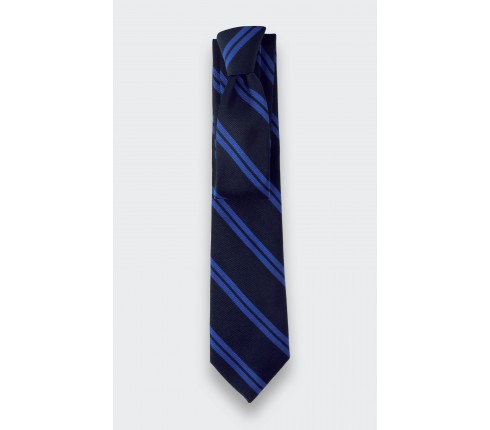 Navy blue and blue Club Tie - Cinabre Paris