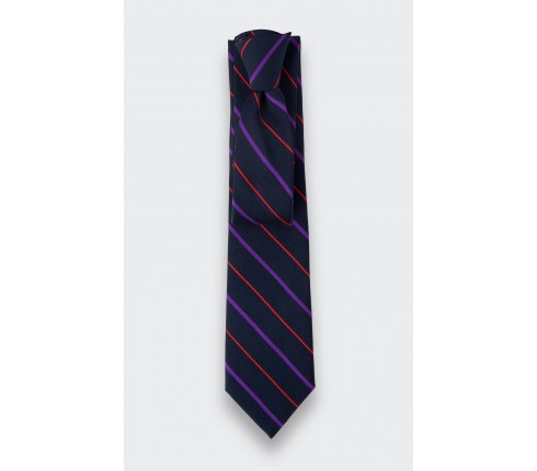 Navy blue and purple Club Tie - Cinabre Paris