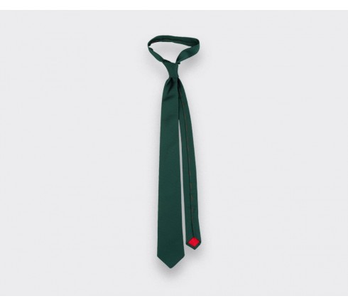 Green Lizard Tie - Silk - Cinabre Paris